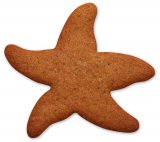 pepperkake sjøstjerne